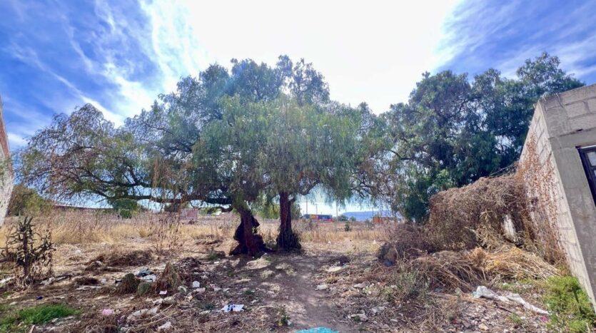 Terreno en Venta en el Durazno
