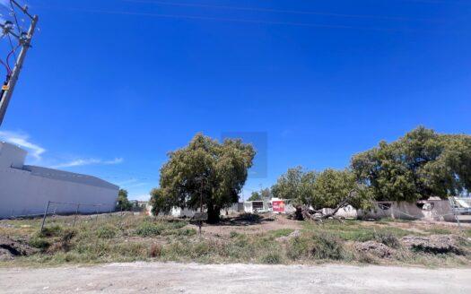 Terreno en Venta San José Palma Gorda