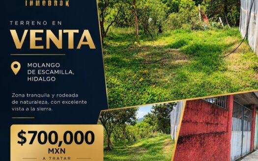 Terreno de 450 m² en venta en Barrio de San Miguel, Molango, Hidalgo